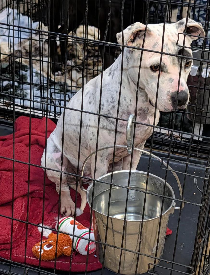 Sapphire thumbnail 4