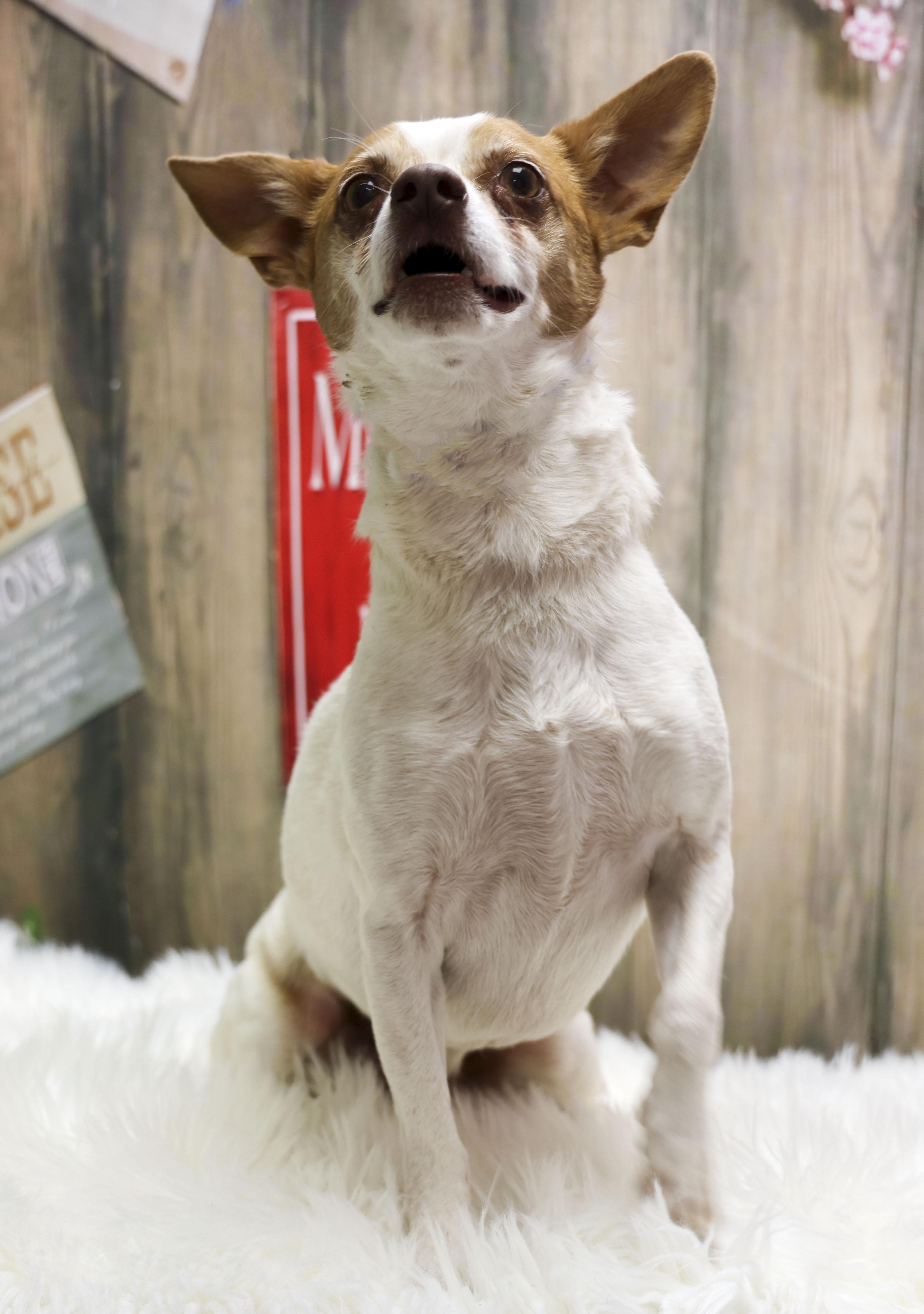 Oscar photo 3