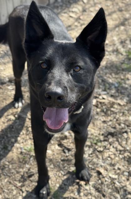 Midnight — thumbnail 2