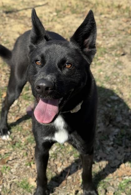 Midnight — thumbnail 3