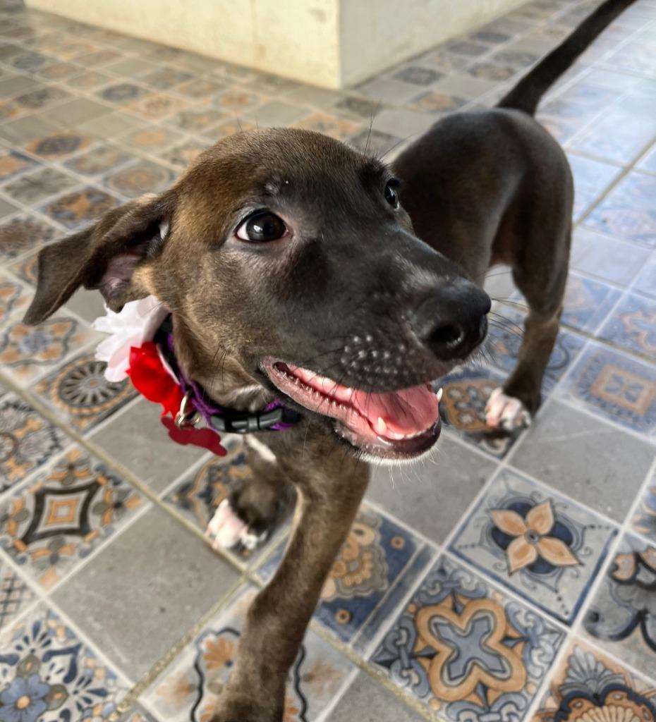 Emma — thumbnail 2