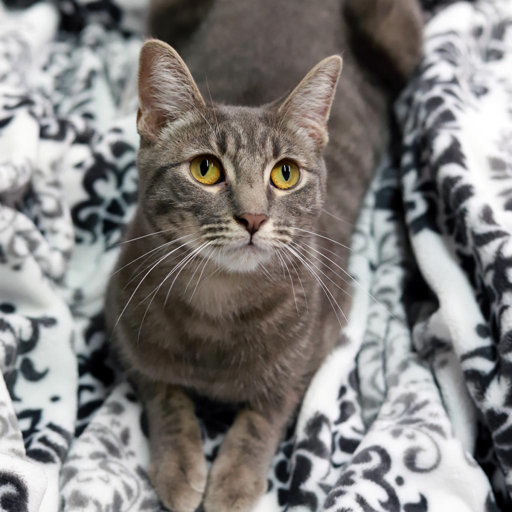 Magik — thumbnail 2