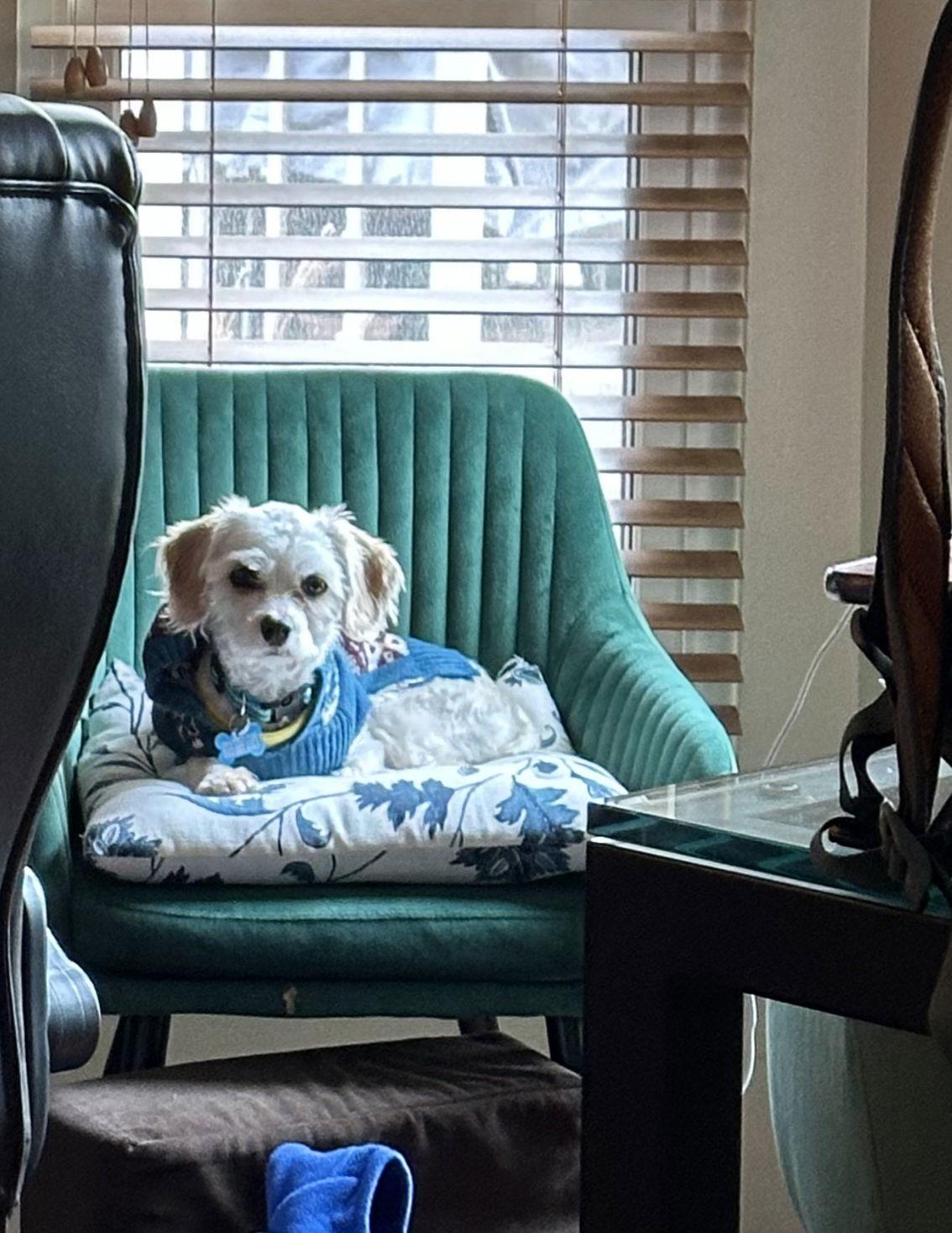 Casper Fairfield thumbnail 4