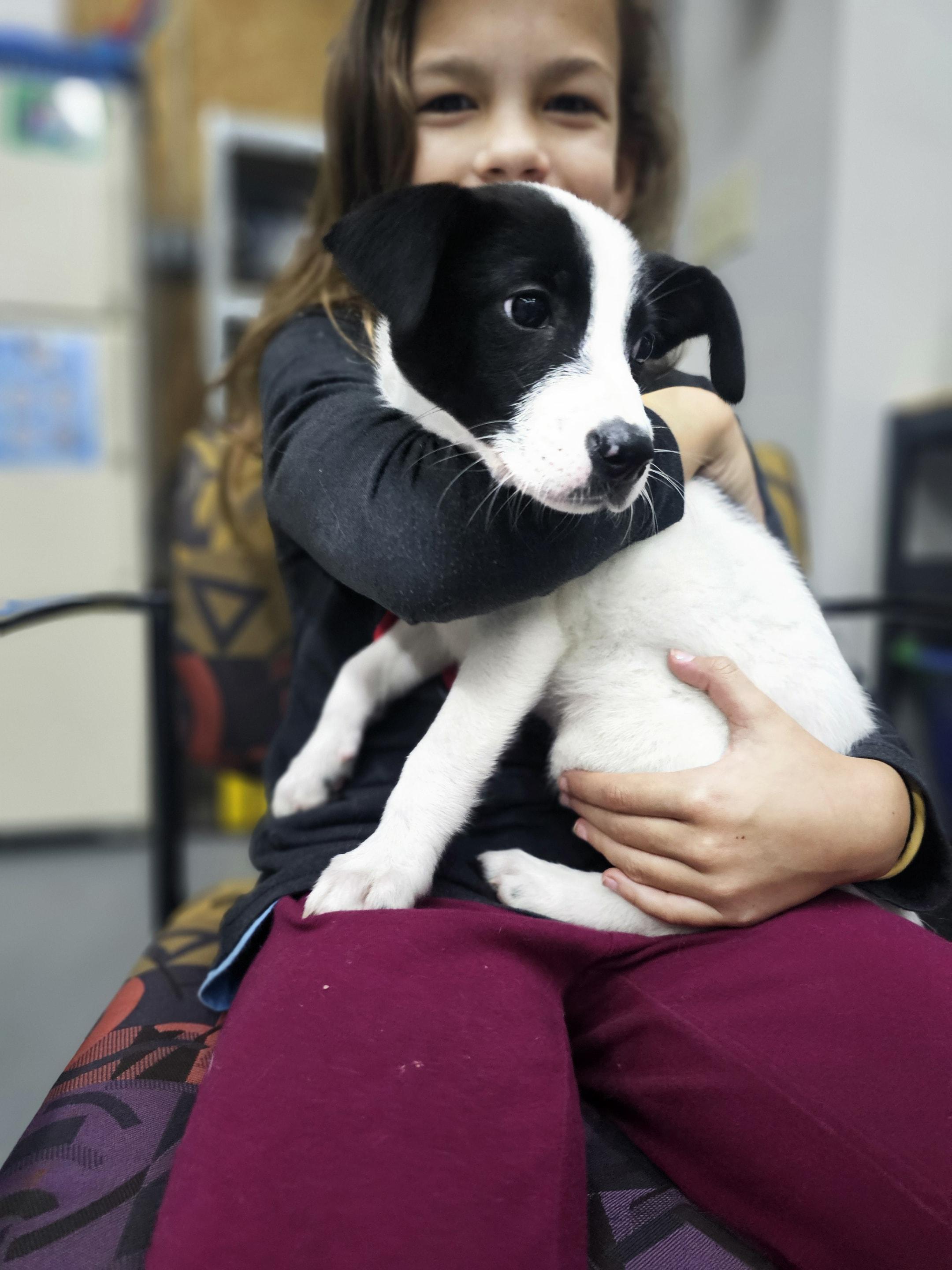 Carrie the Mixed Breed