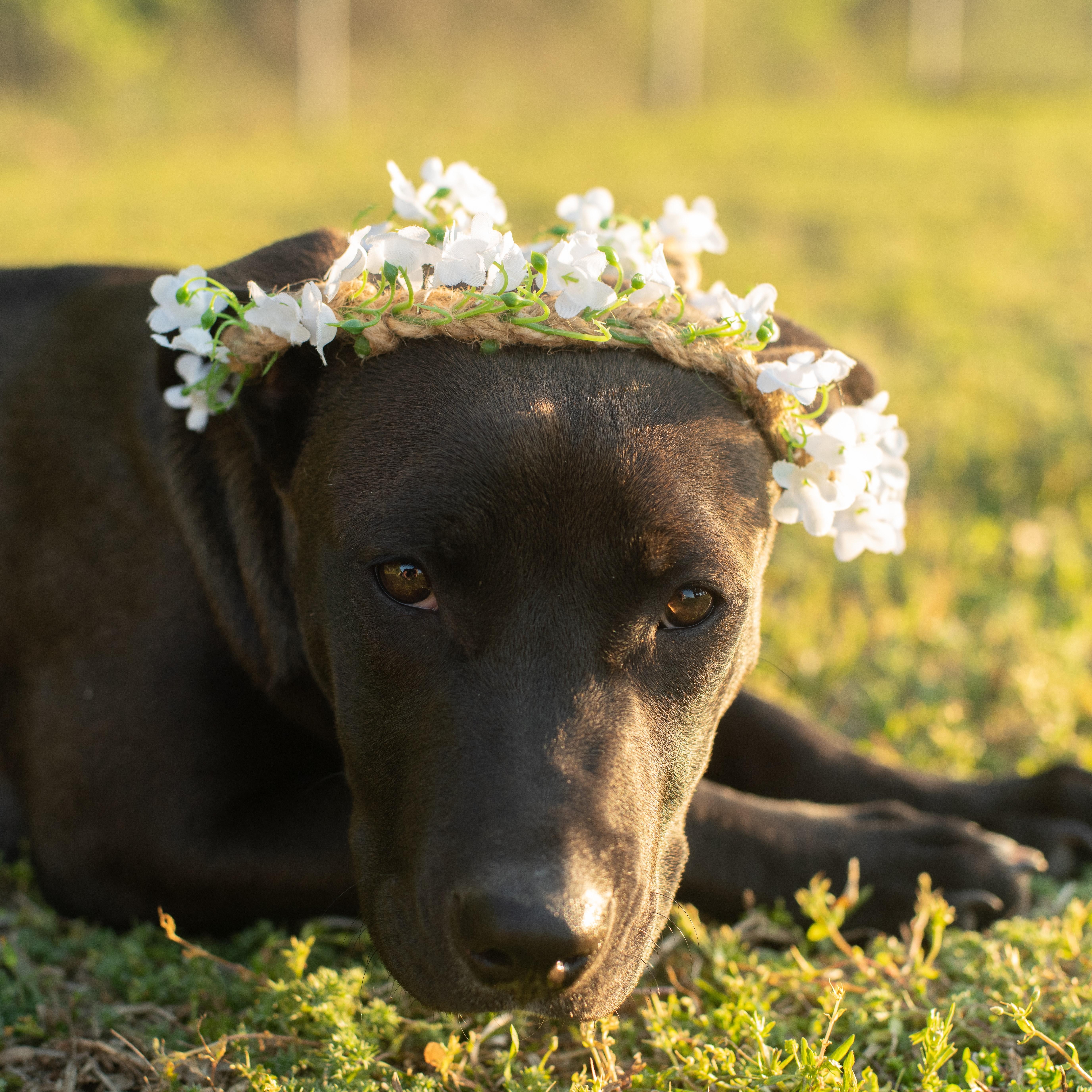 Maggie