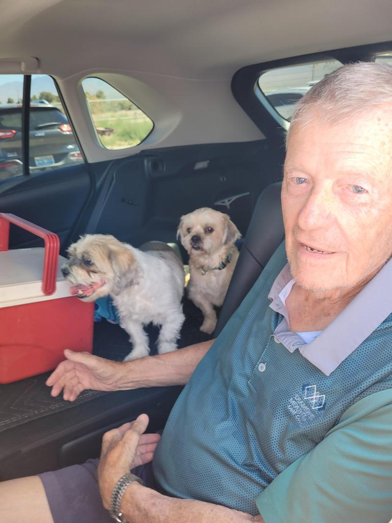 Enlarge Ginger (Basin 3), a Adoptable mixed breed in Pahrump, NV image 3/4