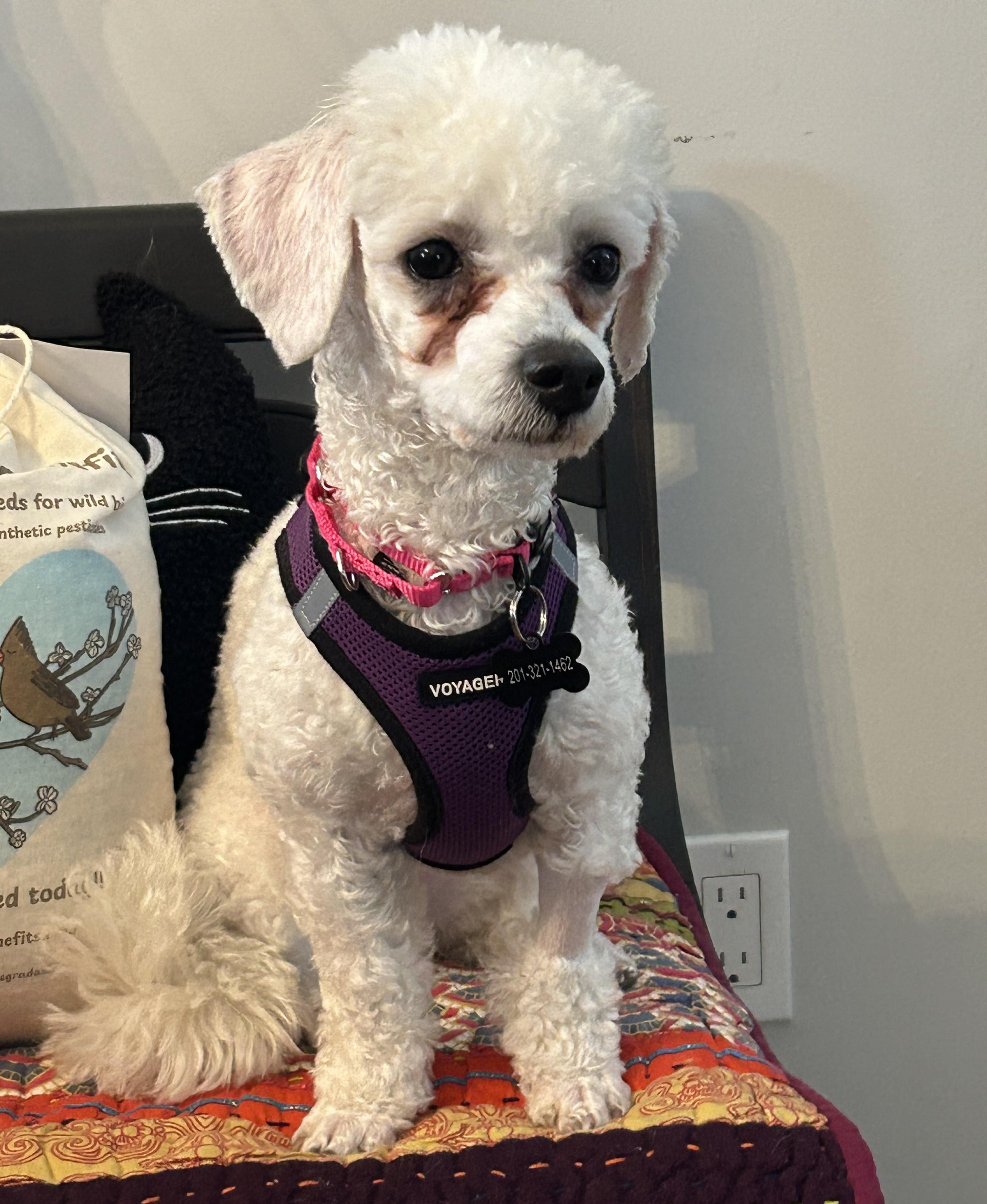 Snowflake thumbnail 3