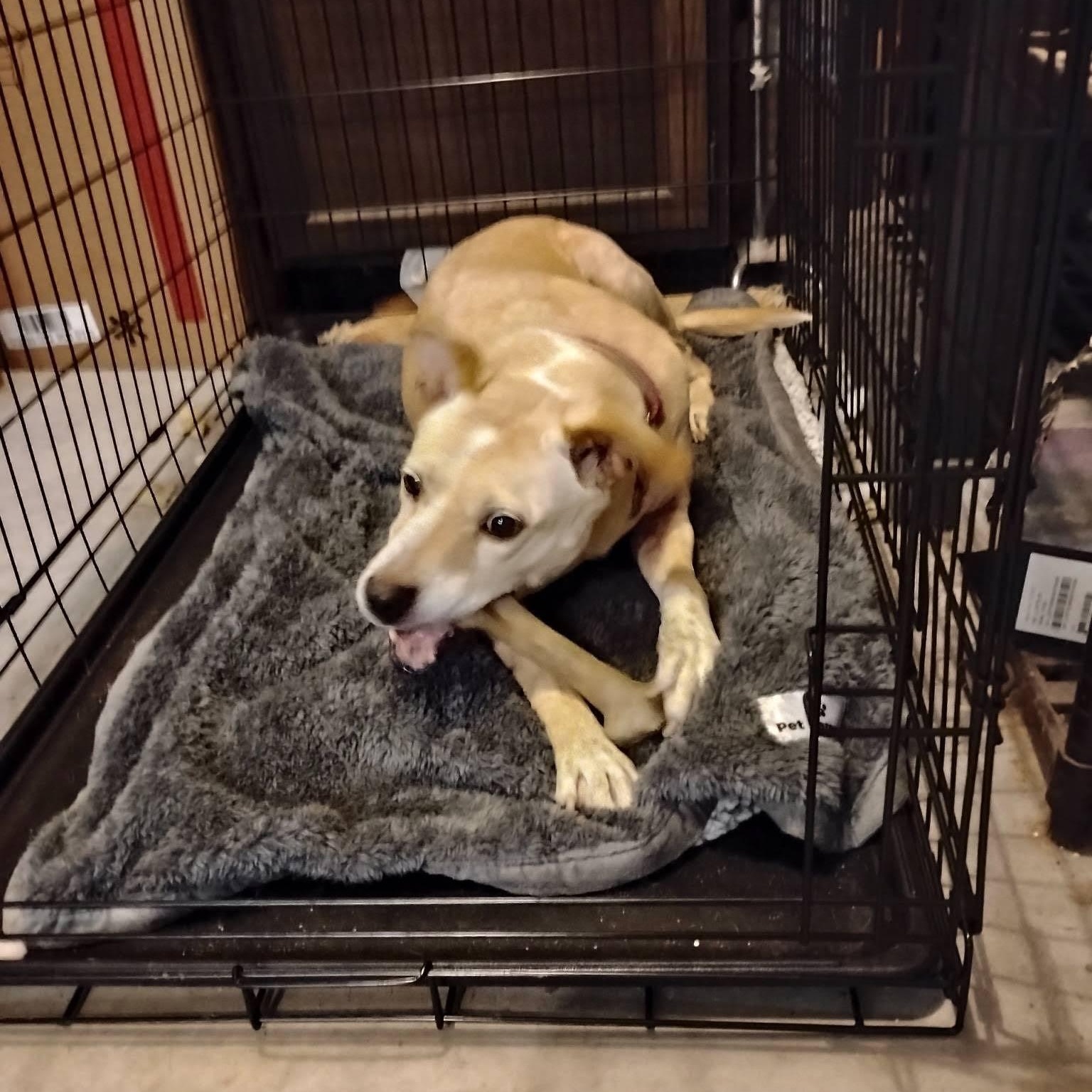 BLIND FAITH — thumbnail 4