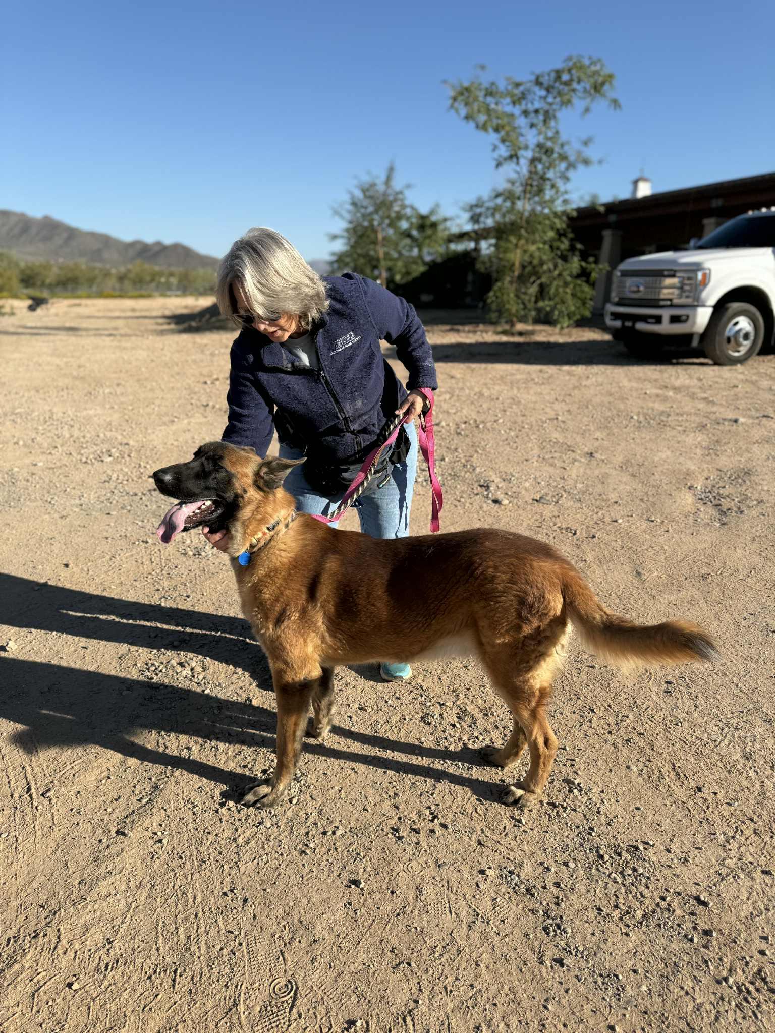 Enlarge Fletcher, a ADOPTABLE mixed breed in Glendale, AZ image 4/6