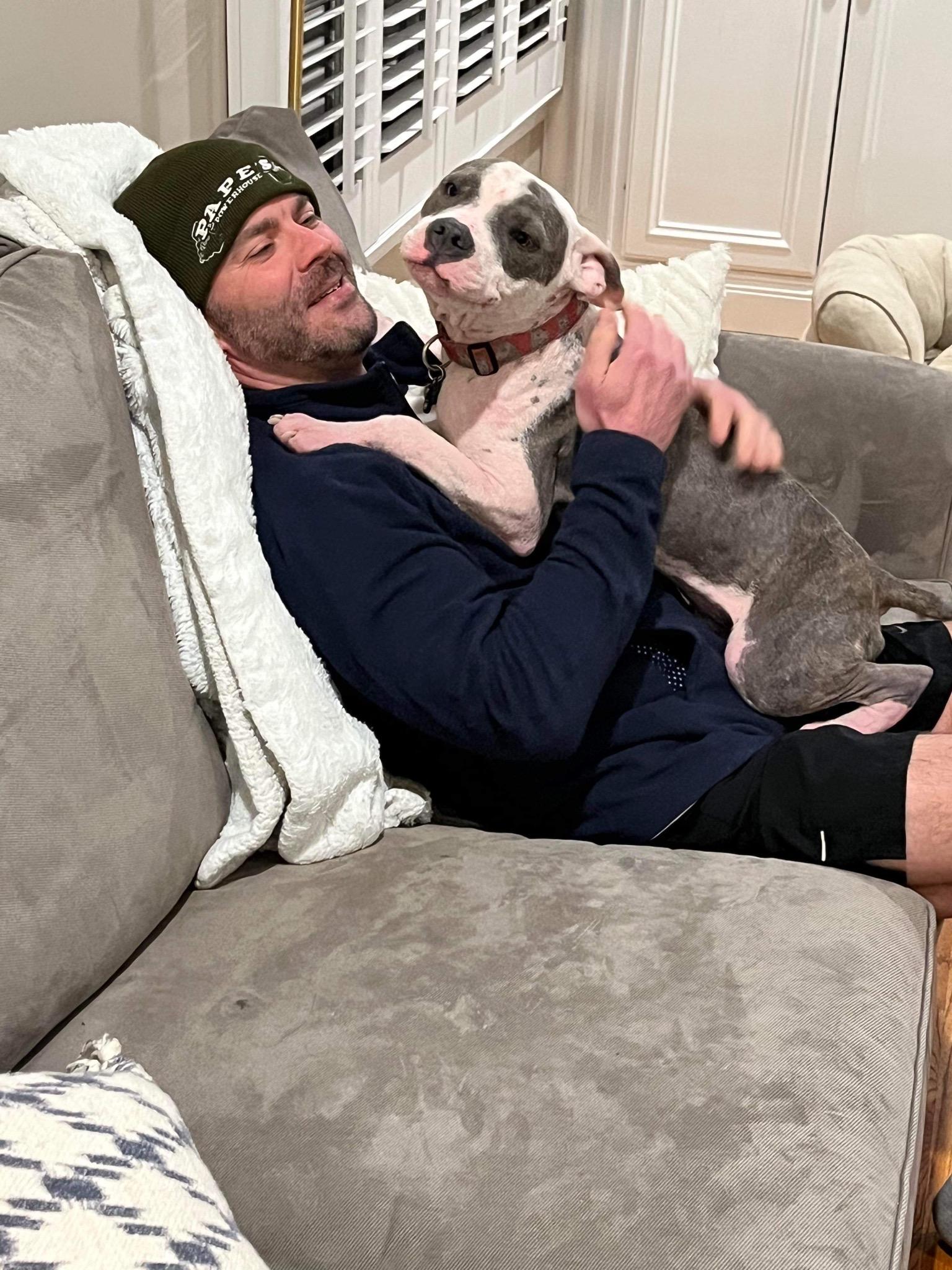 Enlarge Chip, a Adoptable mixed breed in North Haledon, NJ image 4/6