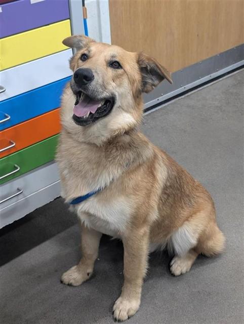 EMERSON — thumbnail 2