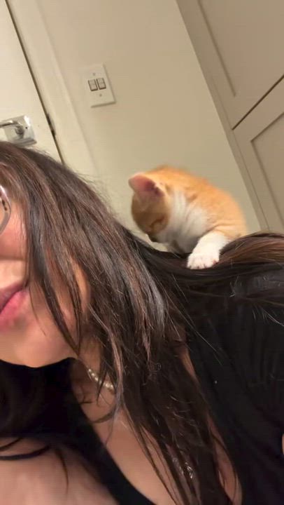 Enlarge Seven , an adopted mixed breed in Las Vegas, NV video 2/2