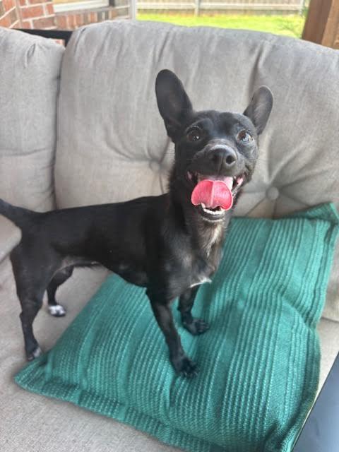 Batty