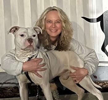 Enlarge Thor, a Adoptable mixed breed in Irmo, SC image 3/3