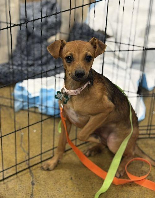 Fergie & Missy Elliott