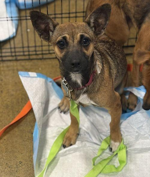 Fergie & Missy Elliott