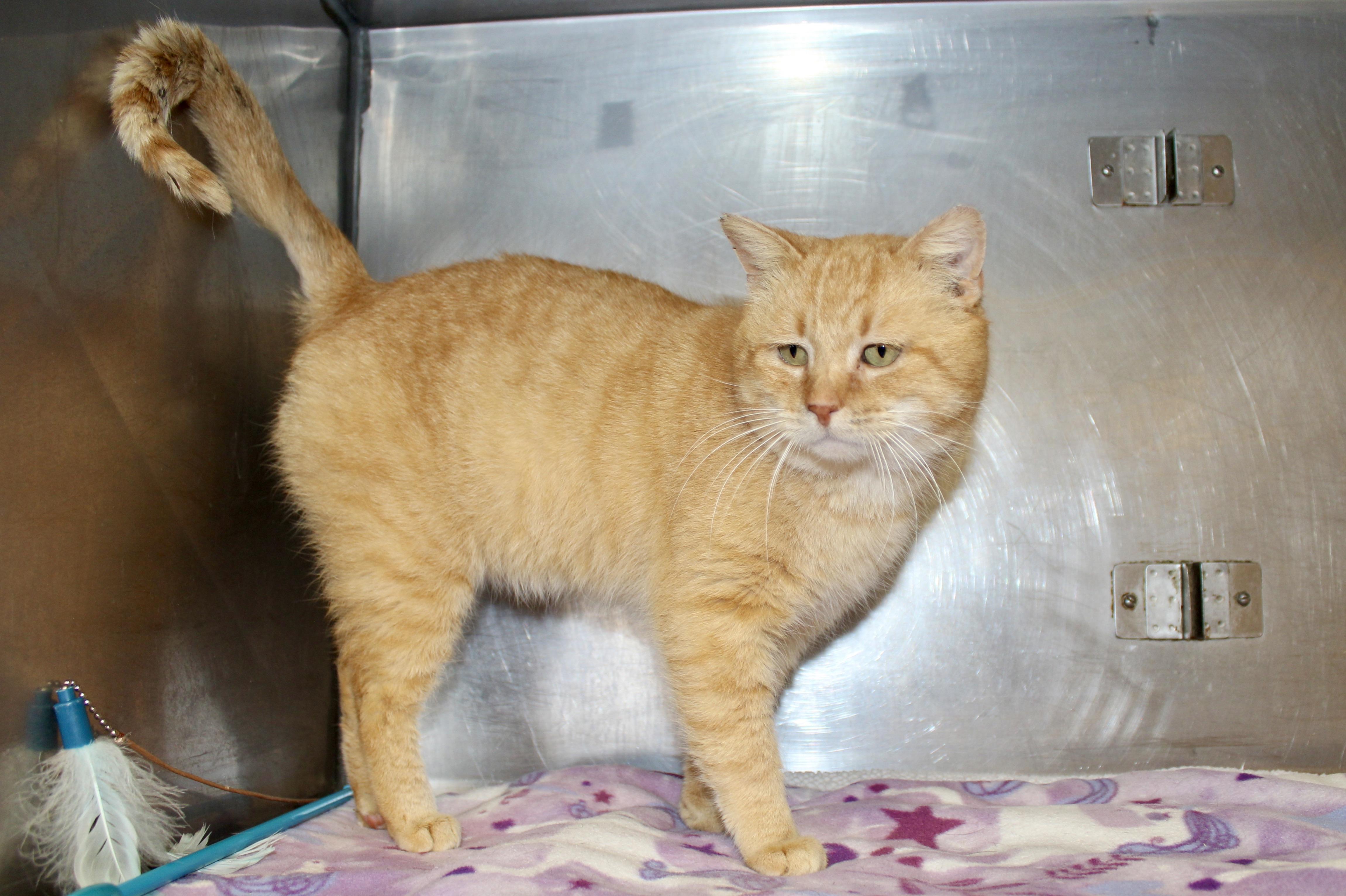 FRITZ photo 5