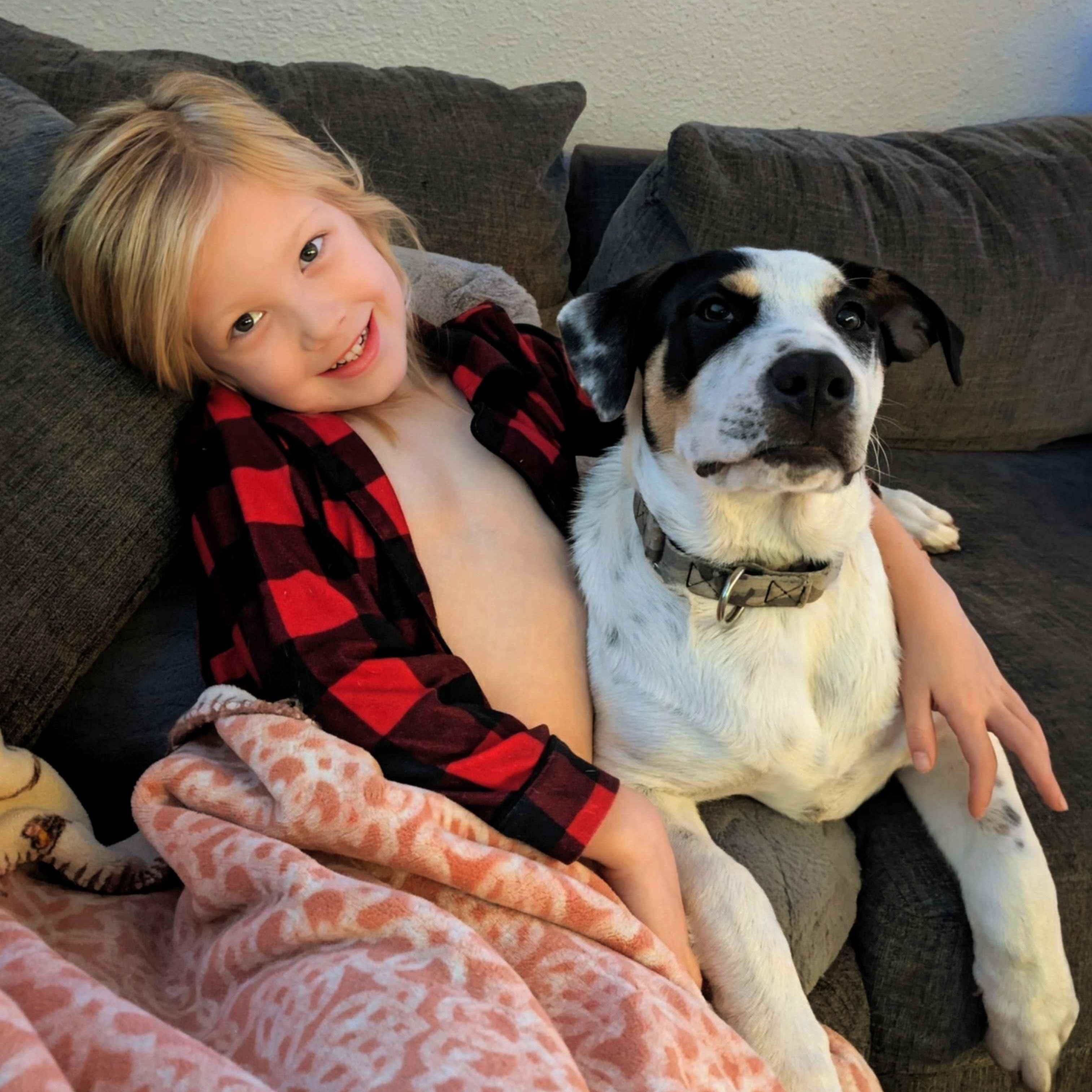 Enlarge Wayne, a Adoptable mixed breed in Portland, OR image 2/5