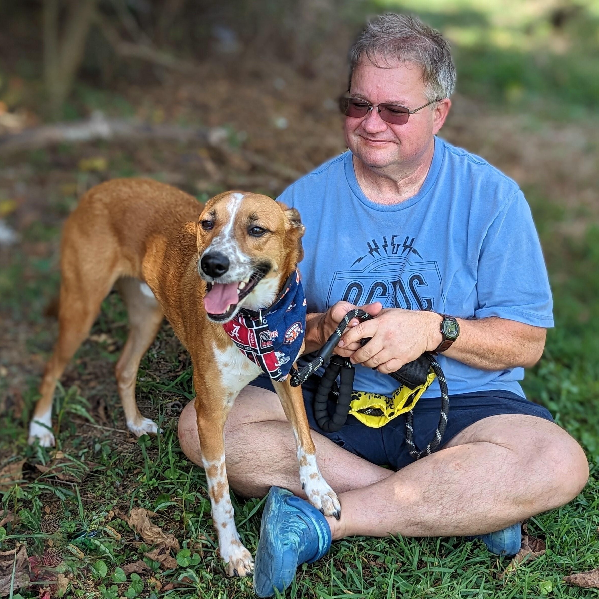 Tiko, a Adoptable mixed breed in Helena, AL image 2/3