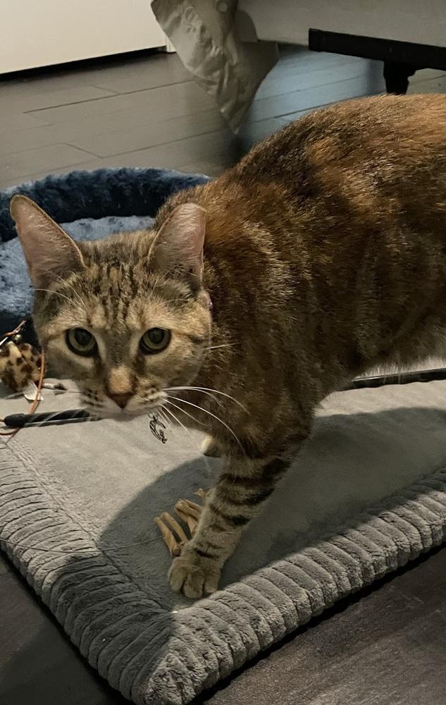 Marbles — thumbnail 2