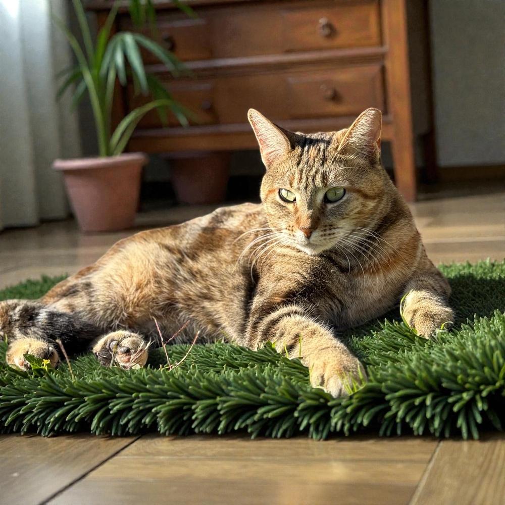 Marbles — thumbnail 3