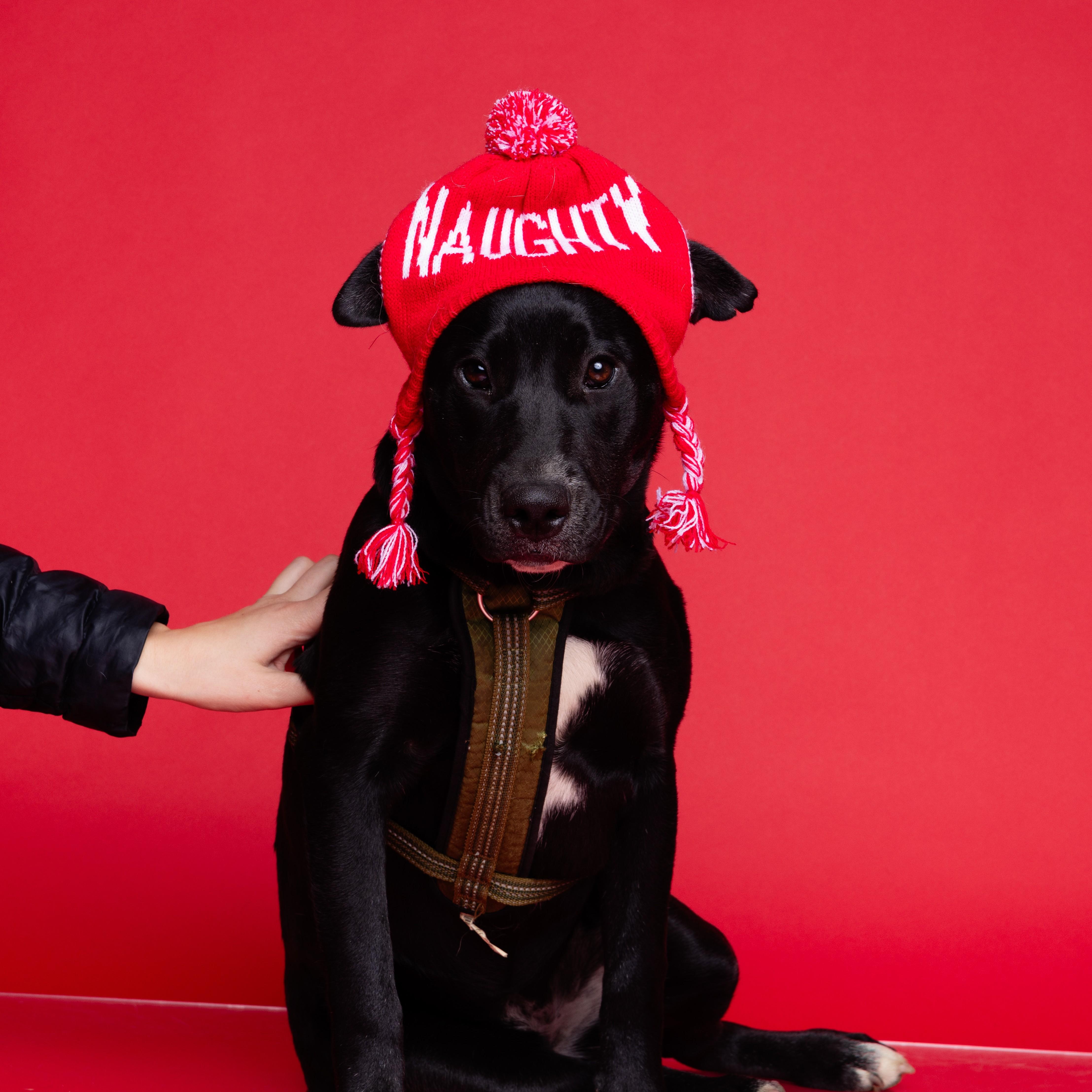 Boil — thumbnail 6