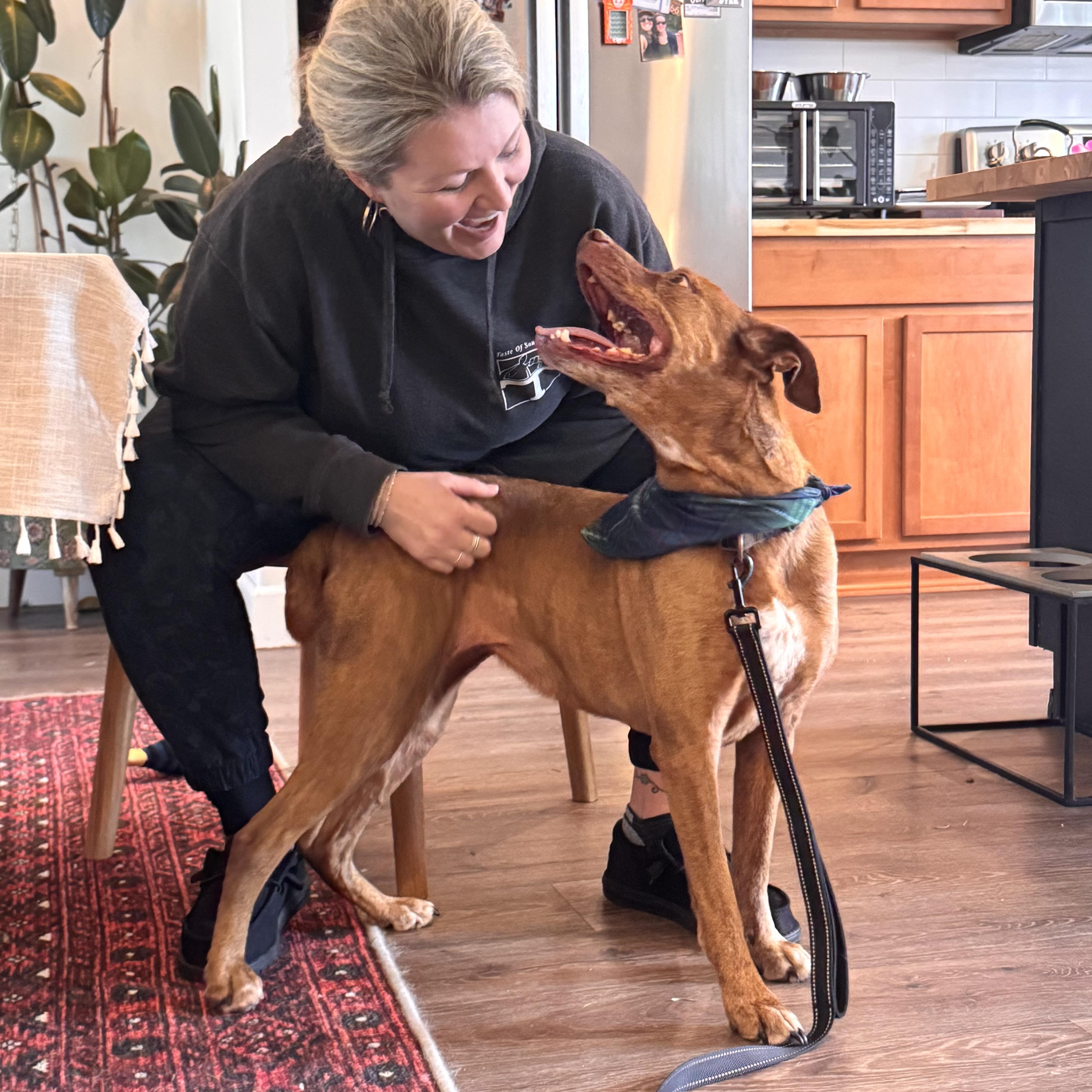 Enlarge Marley, a Adoptable mixed breed in Portland, OR image 3/6