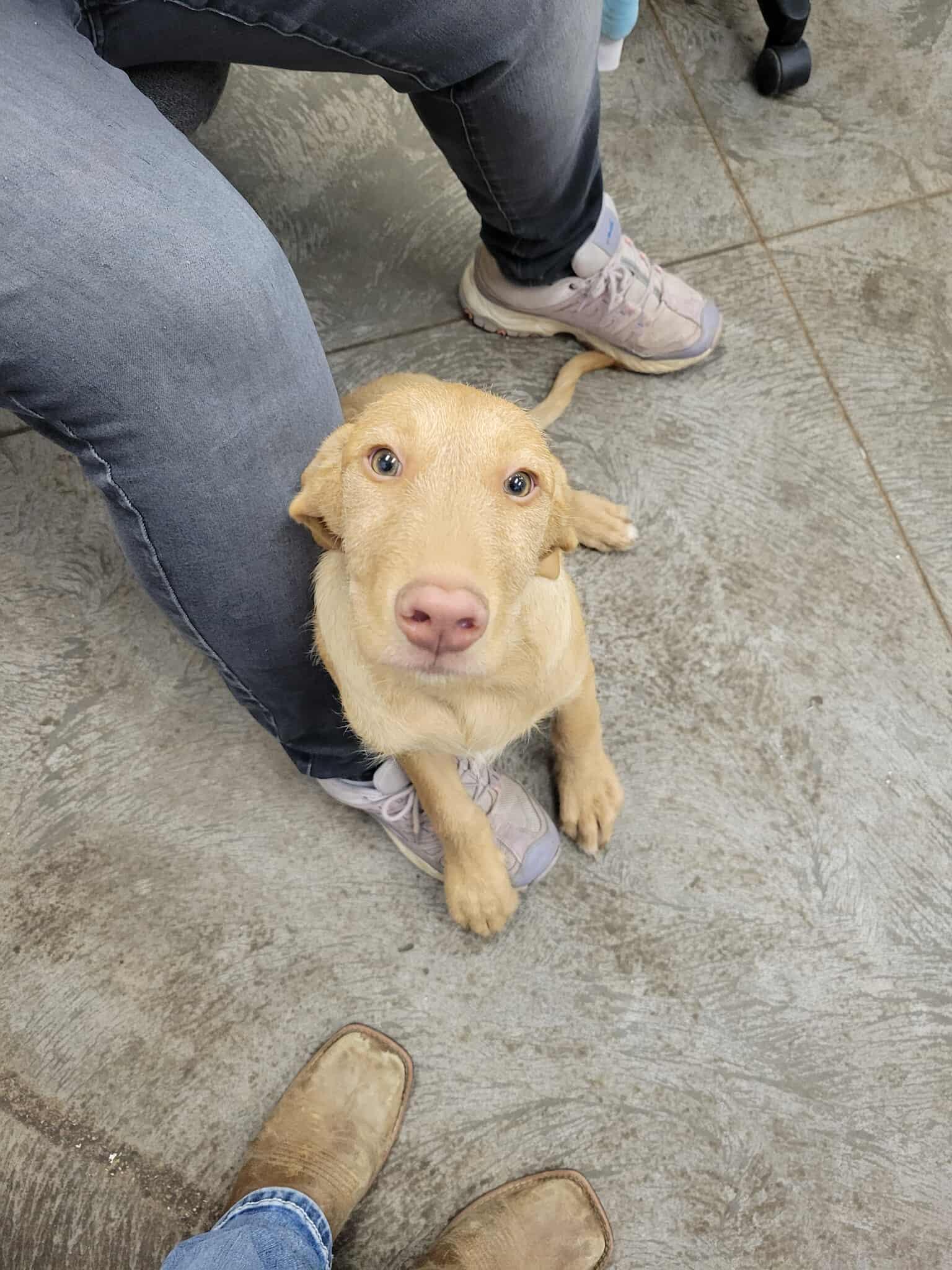 Theodore