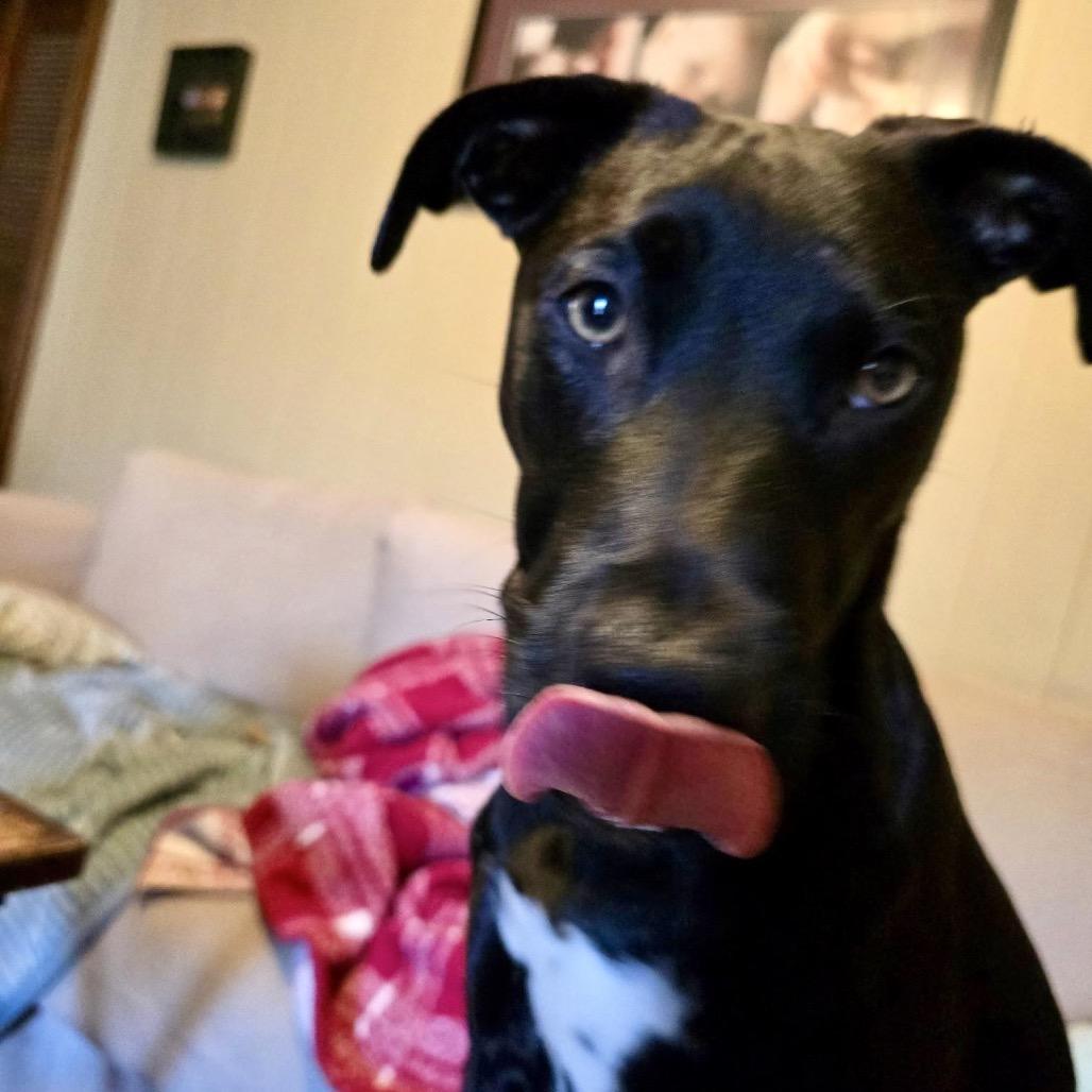 Donnie B (Reduced Rover)