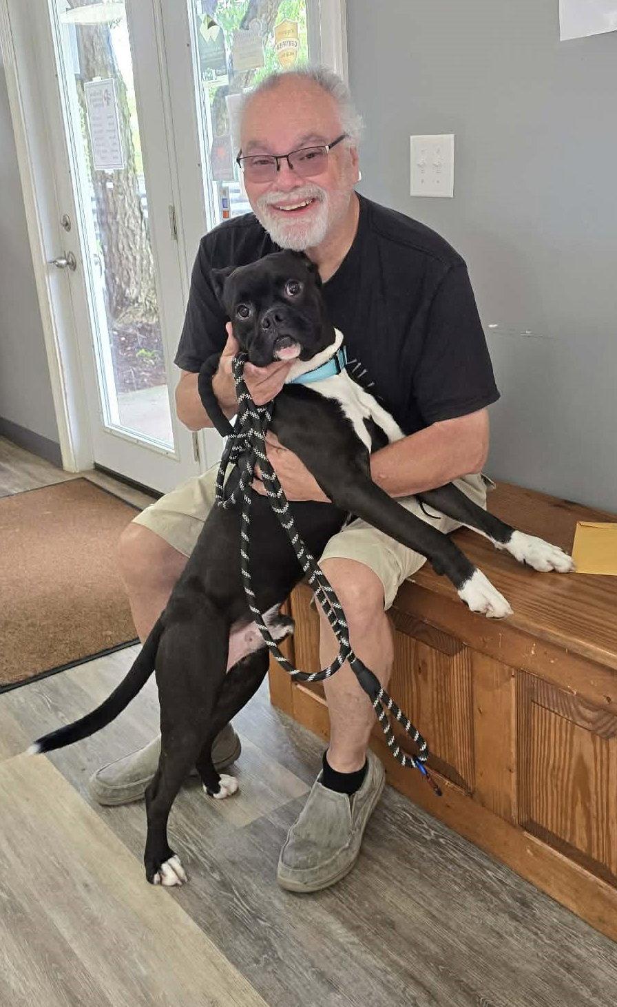 Enlarge Pup aka Buddy - ADOPTION PENDING!!!, a Adoptable Boxer in Shakopee, MN image 2/3