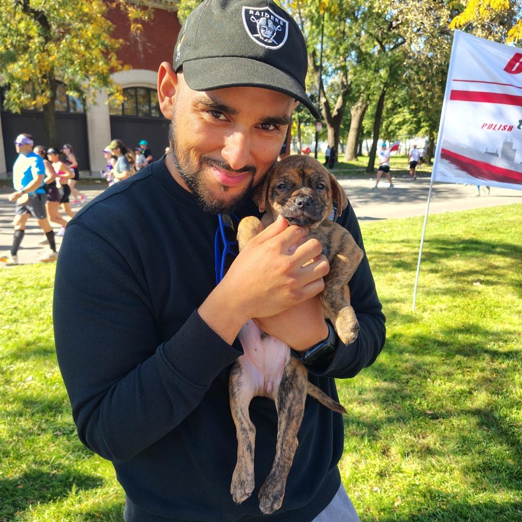 ET, Adoptable, Puppy Male Terrier & Mixed Breed.