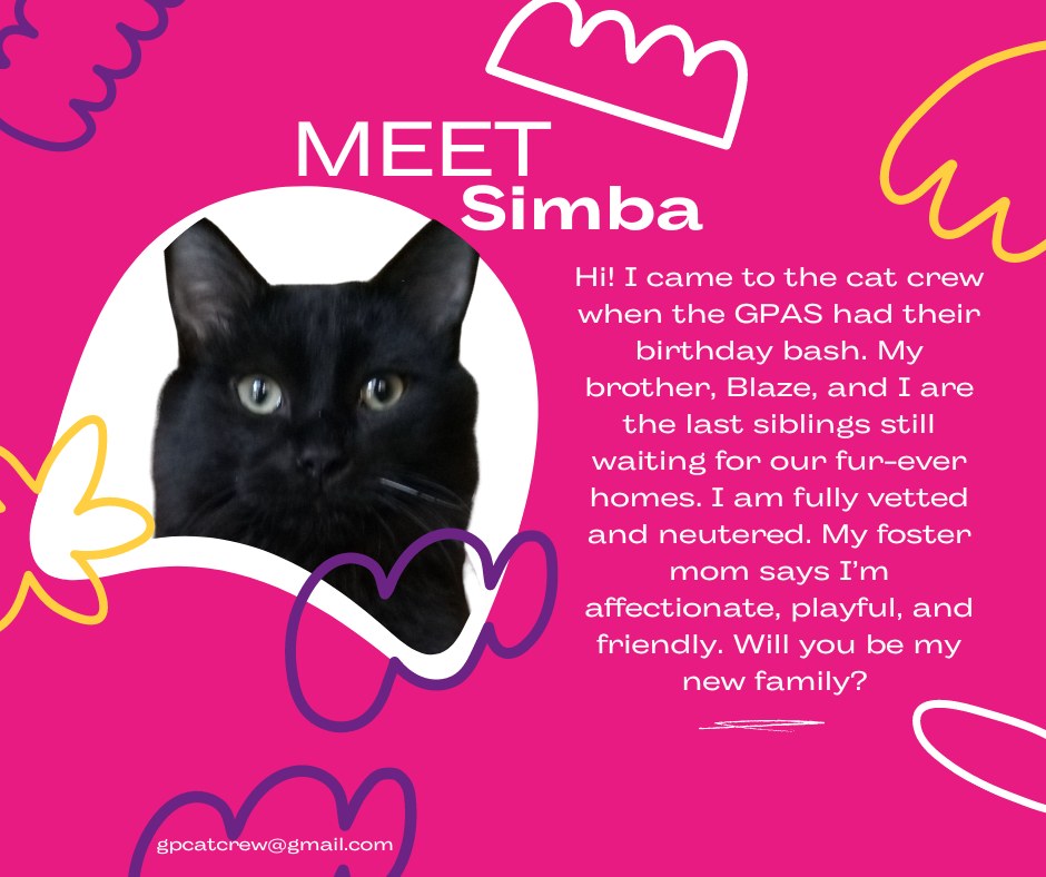 Simba photo 4