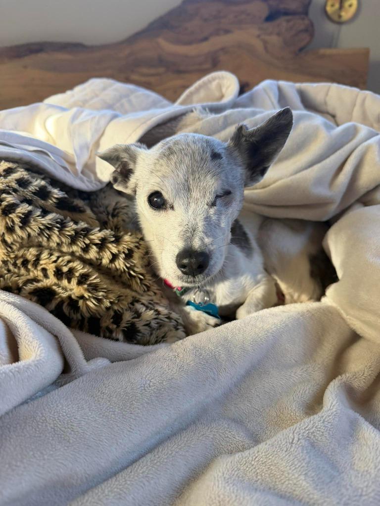 Moxie — thumbnail 2