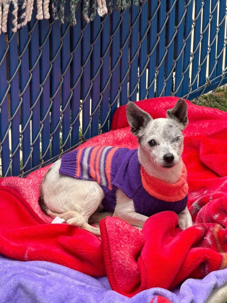 Moxie — thumbnail 3