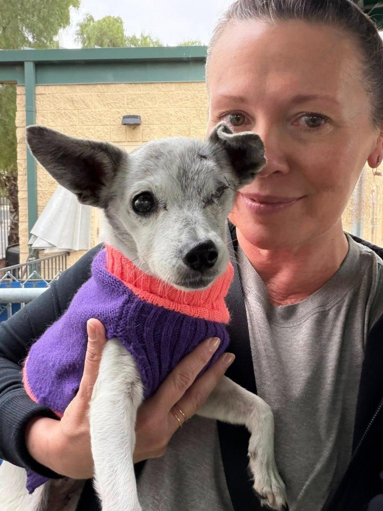 Moxie — thumbnail 4