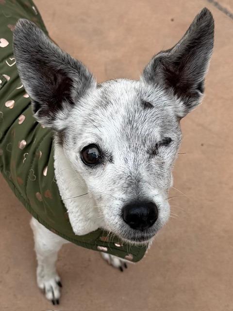 Moxie — thumbnail 5