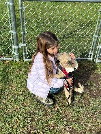 Enlarge Remus, a Adoptable mixed breed in Bedford Hills, NY image 4/4