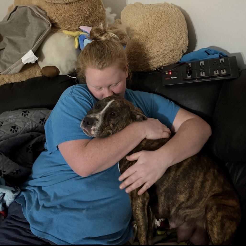 Enlarge Mama Macy, a Adoptable Mixed Breed in Rockville, MD image 1/4