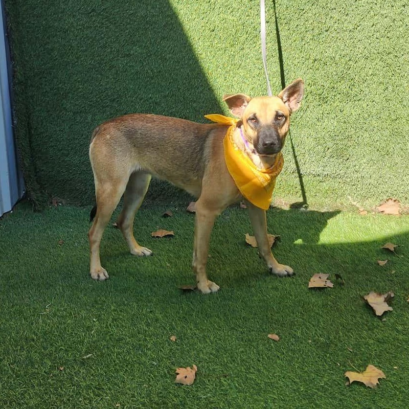 Jordan — thumbnail 3