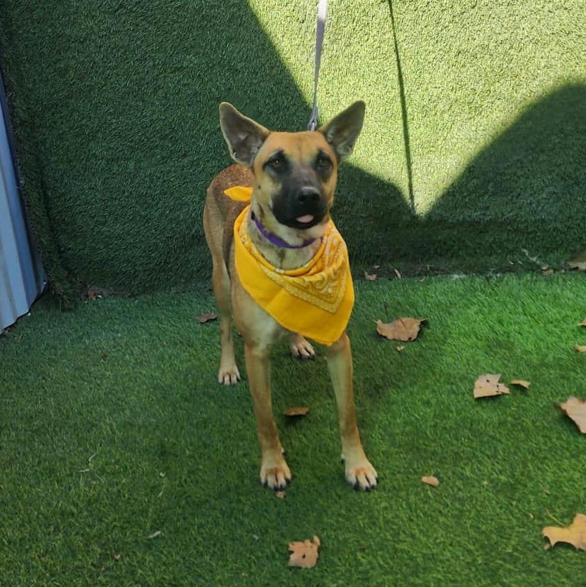 Jordan — thumbnail 5