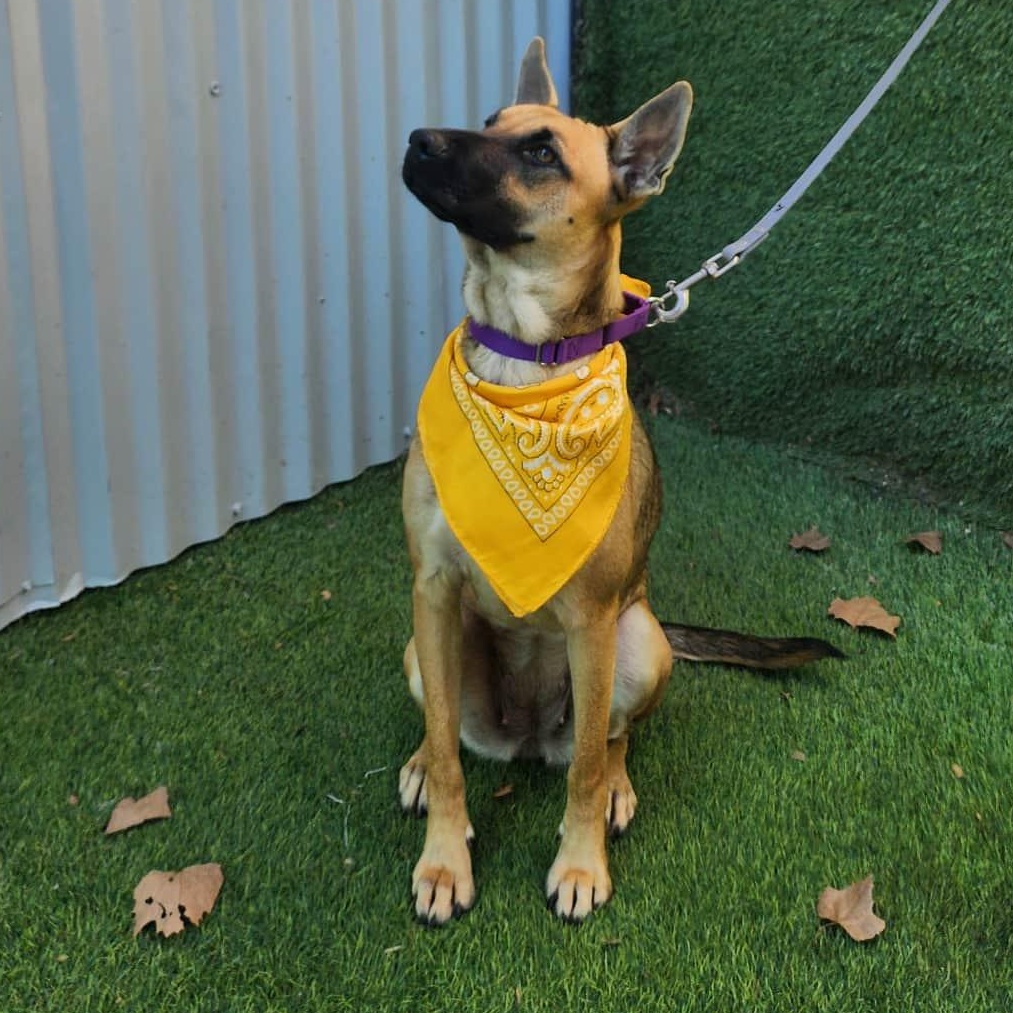 Jordan — thumbnail 6