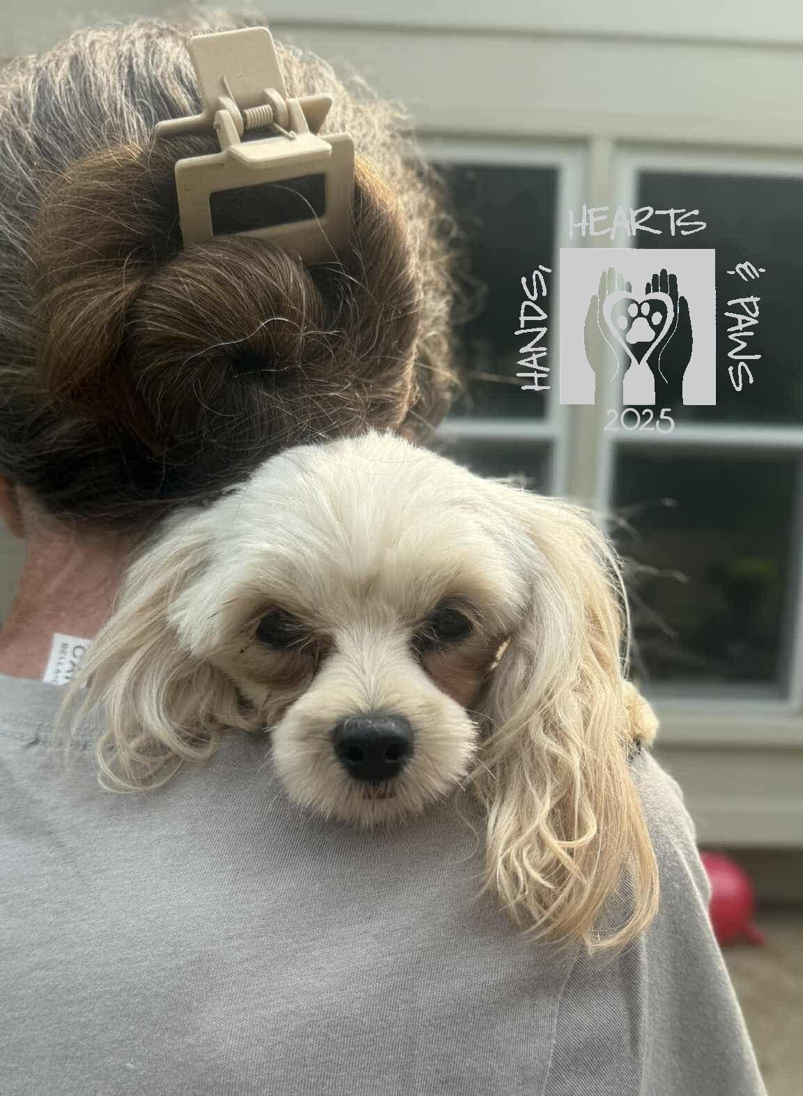 Enlarge Avorio, a Adoptable mixed breed in Omaha, NE image 4/6