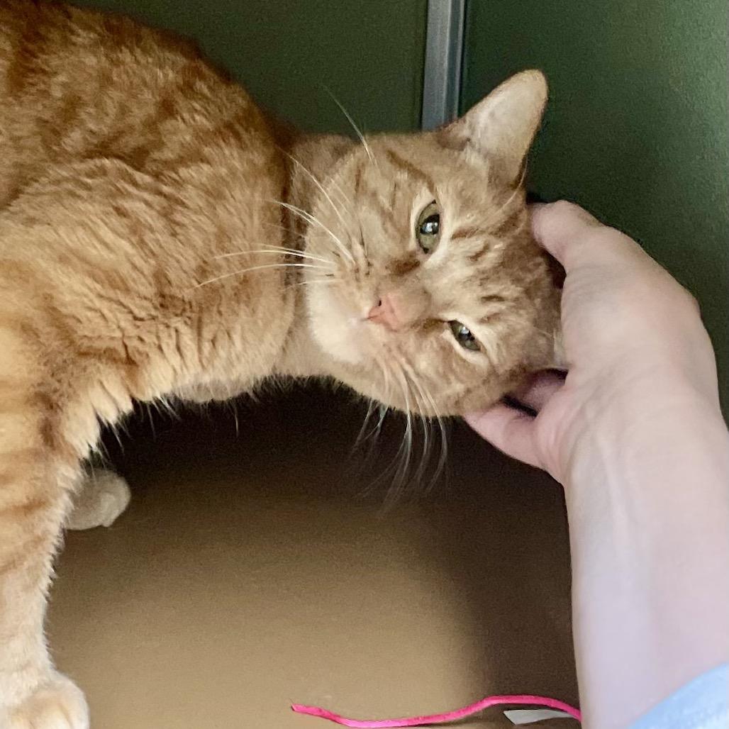 Franklin — thumbnail 2