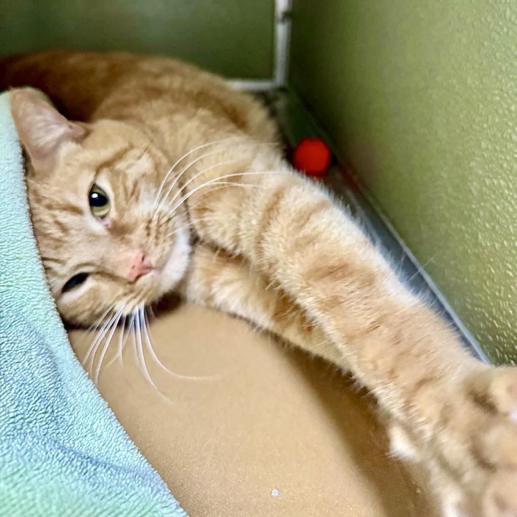 Franklin — thumbnail 5