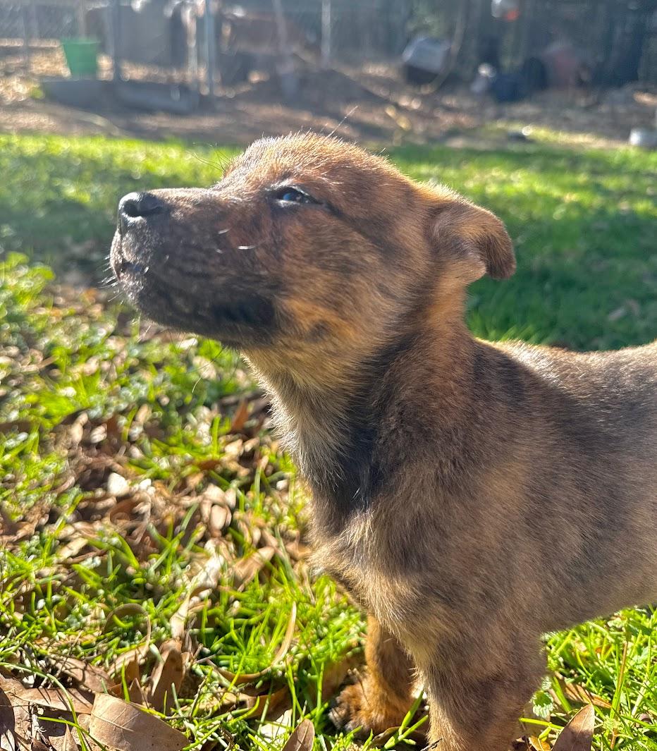 BENJAMIN (BENNY) — thumbnail 2