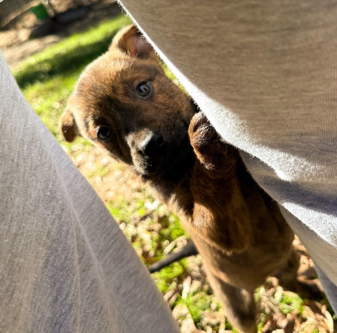 BENJAMIN (BENNY) — thumbnail 3