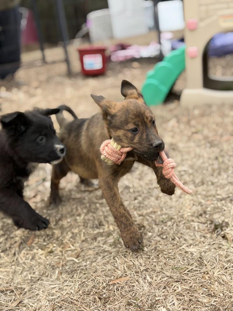 BENJAMIN (BENNY) — thumbnail 5