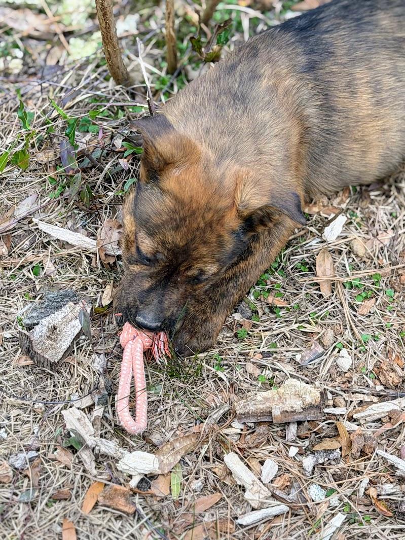 BENJAMIN (BENNY) — thumbnail 6