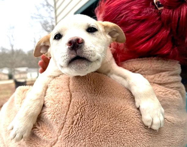 Patron Spirits thumbnail 4