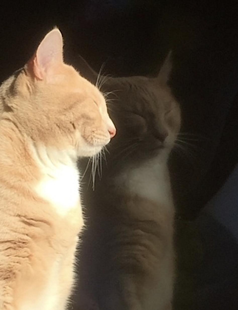 Peaches 3